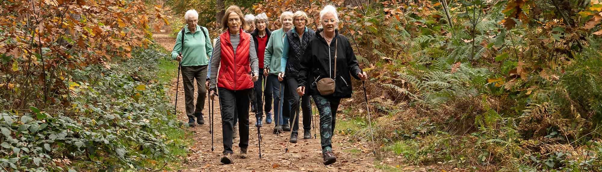 fit for life nordic walking breda