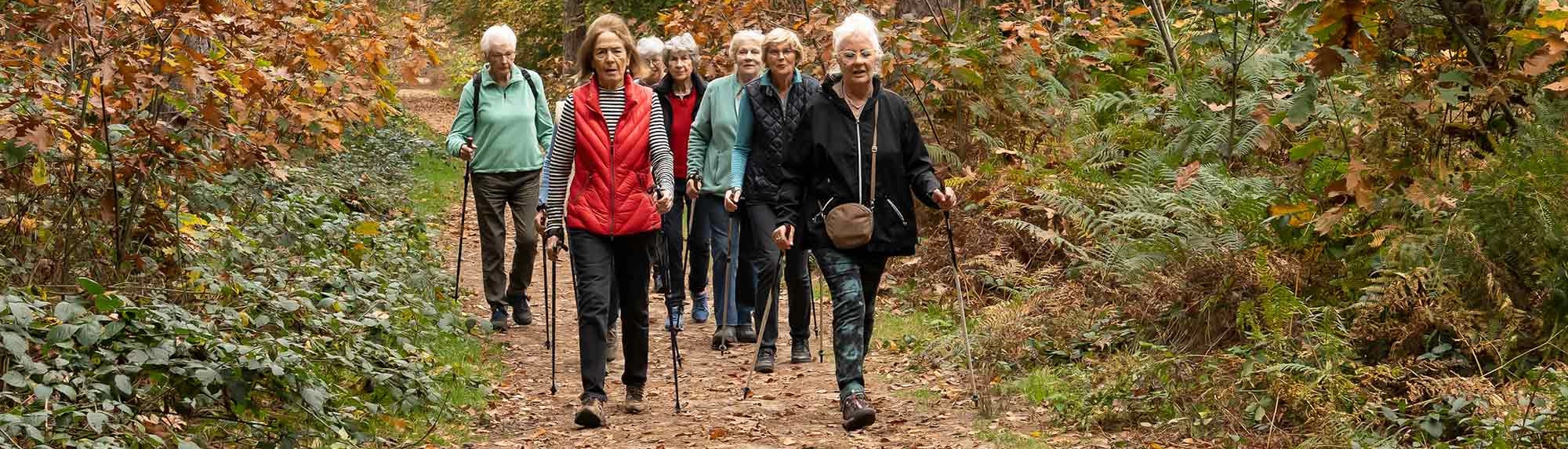 fit for life nordic walking breda