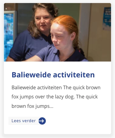 Handleiding voorbeeld homepage blokje